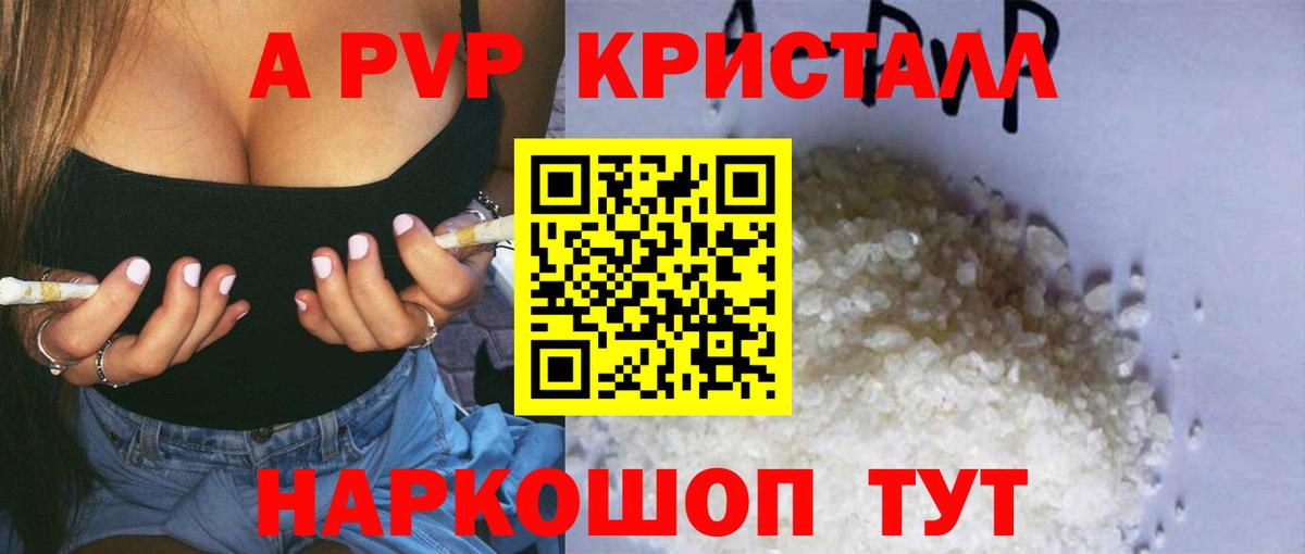 Alfa_PVP СК Кисловодск