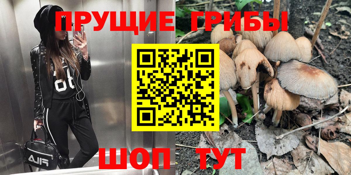 Галлюциногенные грибы Magic Shrooms Кисловодск
